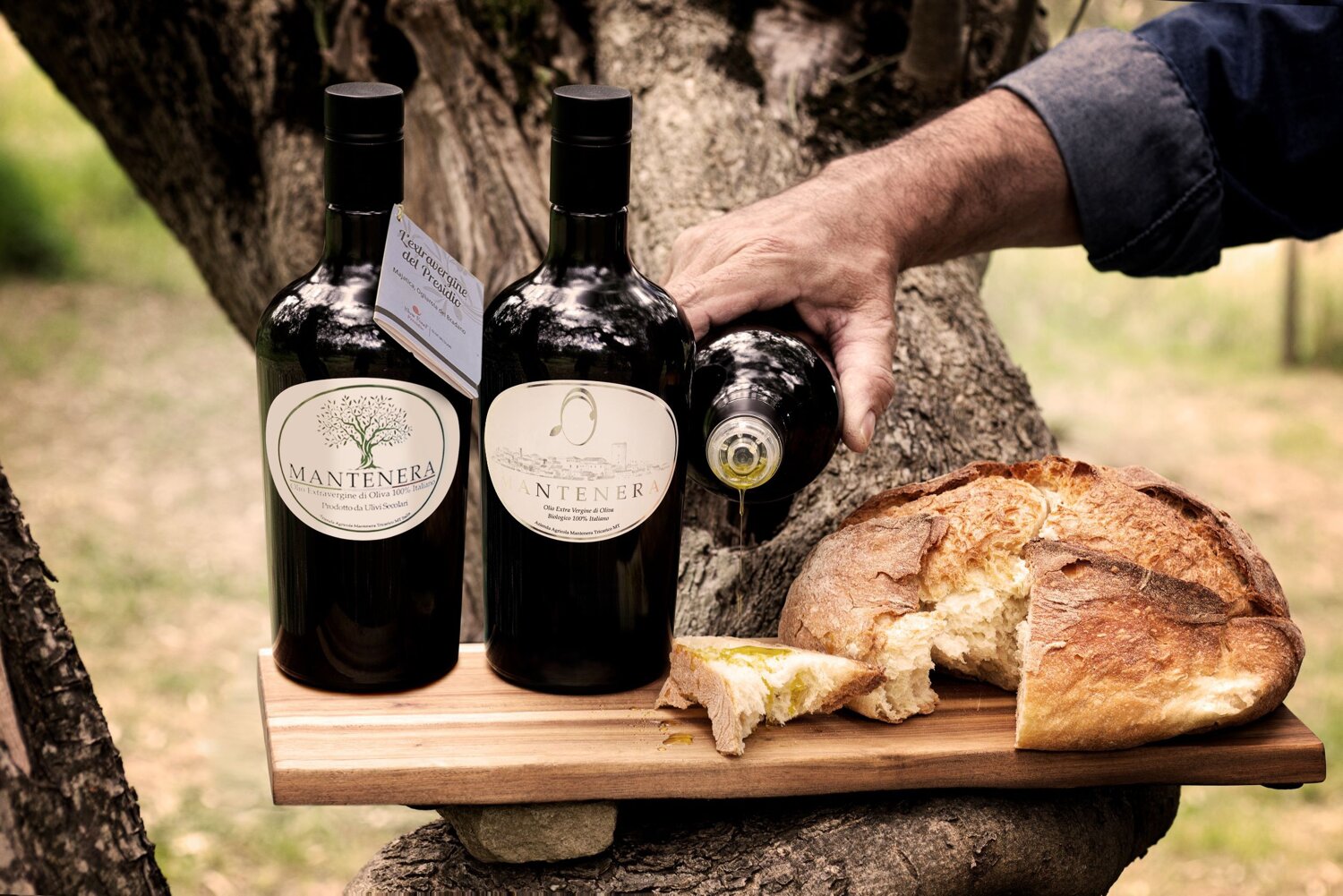 Tisane di Foglie di Olivo 